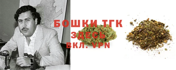 шишки Переславль-Залесский