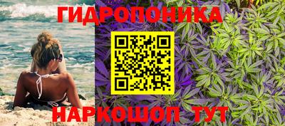 твердый Пугачёв