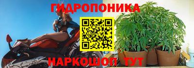 твердый Пугачёв