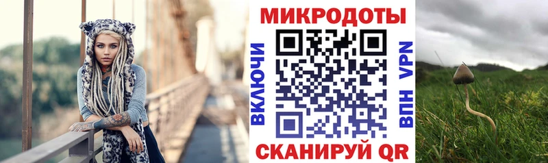 Галлюциногенные грибы Psilocybine cubensis  Северодвинск 