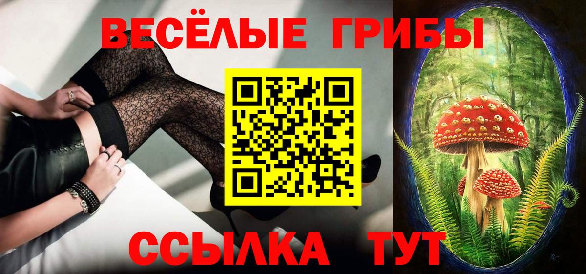 Северодвинск  Псилоцибиновые грибы Psilocybe  Вход с VPN 